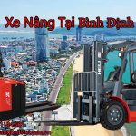 xe nang tai binh dinh